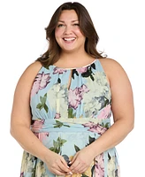 R & M Richards Plus Printed Sleeveless Ruffle Dress