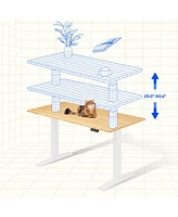 Flexispot E7-commercial W Electric Adjustable Standing Desk, Bamboo Top