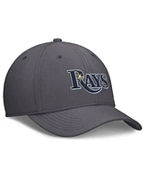 Nike Men's Gray Tampa Bay Rays Swoosh Performance Flex Hat