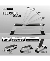 HolaHatha Adjustable Stepper, Fitness Aerobic Deck w/Storage Compartment, Silver