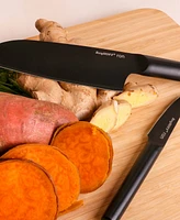 BergHOFF Ron Stainless Steel 4-Piece Knife Set