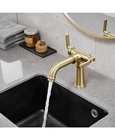 Double Handle Industrial Style Bathroom Faucet Lavatory Mixer Tap Commercial Vanity Brushed Gold