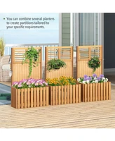 Raised Garden Bed with Privacy Screen Secure and Stylish Outdoor Gardening Solution
