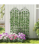 Outdoor Garden Trellis for Climbing Plants and Vines Support (Set of 2)