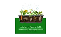 Raised Garden Bed Durable Planter Box for Growing Vegetables, Herbs, and Flowers