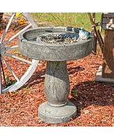 Resin Bird Bath with Feeder Compartment - Traditional Pedestal Bird Bath - 27" H - Gray