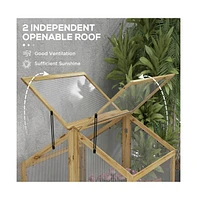 Flower Bed Greenhouse Perfect Shelter for Vibrant Plant Growth and Protection