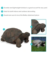 Poly-Concrete Tortoise Garden Statue - Indoor or Outdoor Use - Tanya - 20" W