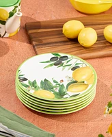 Certified International Limone Melamine 6-Pc. Salad Plates, Service For 6