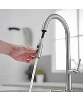 Single Handle Pull Down Sprayer Kitchen Faucet Brushed Nickel