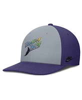 Nike Men's /Purple Tampa Bay Rays Pro Performance Snapback Hat