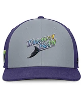 Nike Men's /Purple Tampa Bay Rays Pro Performance Snapback Hat