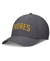 Nike Men's Gray San Diego Padres Swoosh Performance Flex Hat