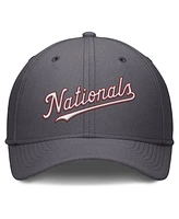 Nike Men's Gray Washington Nationals Swoosh Performance Flex Hat