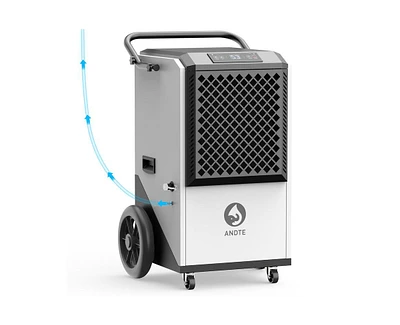 250-Pint 1-Speed Dehumidifier Energy Star (For Rooms 3001+ sq ft)