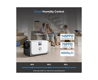 145-Pint 1-Speed Dehumidifier Energy Star (For Rooms 3001+ sq ft)