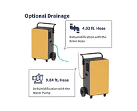 200-Pint 2-Speed Dehumidifier Energy Star (For Rooms 3001+ sq ft)