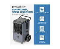 305-Pint 1-Speed Dehumidifier Energy Star (For Rooms 3001+ sq ft)