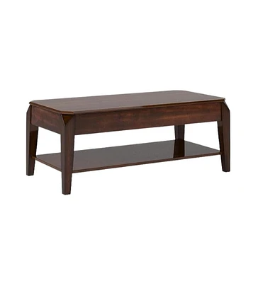 Modern Lift-Top Coffee Table with Storage Shelf and Hidden Compartment