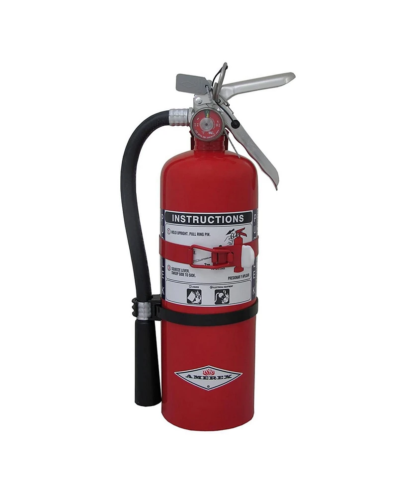 Amerex B479T, 5lb Purple K Fire Extinguisher with Aluminum Valve & Wall Bracket