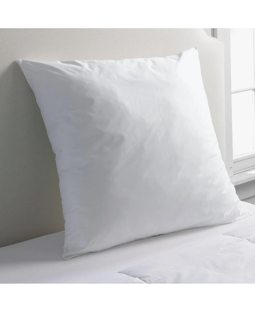 Lands' End Euro Pillow Insert
