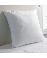 Lands' End Euro Pillow Insert