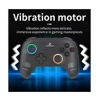RGP01 Wireless Gaming Controller Gamepad for Pc Plug and Play Gaming with Hall Effect/Triggers Joystick Switch/Pc/Steam/Android/Ios
