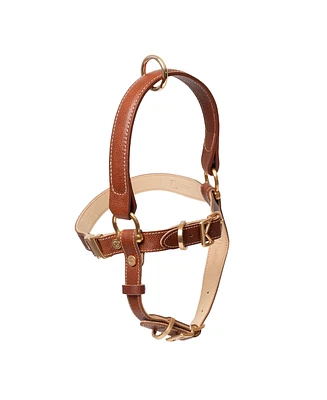 Kandog Handle Harness