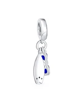 Bling Jewelry Fun Sports Blue Cz Sterling Silver Glass Charm Bead Travel & Beach Adventures