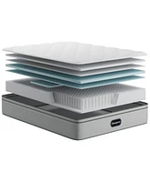 Beautyrest Pampered Nights 13.75 Plush Pillow Top Mattress Collection