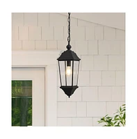 Teri Outdoor Pendant