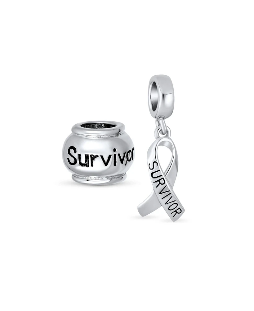 Bling Jewelry Set of 2 Ribbon Breast Cancer Survivor Message Dangle Charm Bead Sterling Silver for European Bracelet
