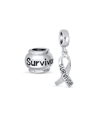 Bling Jewelry Set of 2 Ribbon Breast Cancer Survivor Message Dangle Charm Bead Sterling Silver for European Bracelet