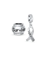 Bling Jewelry Set of 2 Ribbon Breast Cancer Survivor Message Dangle Charm Bead Sterling Silver for European Bracelet