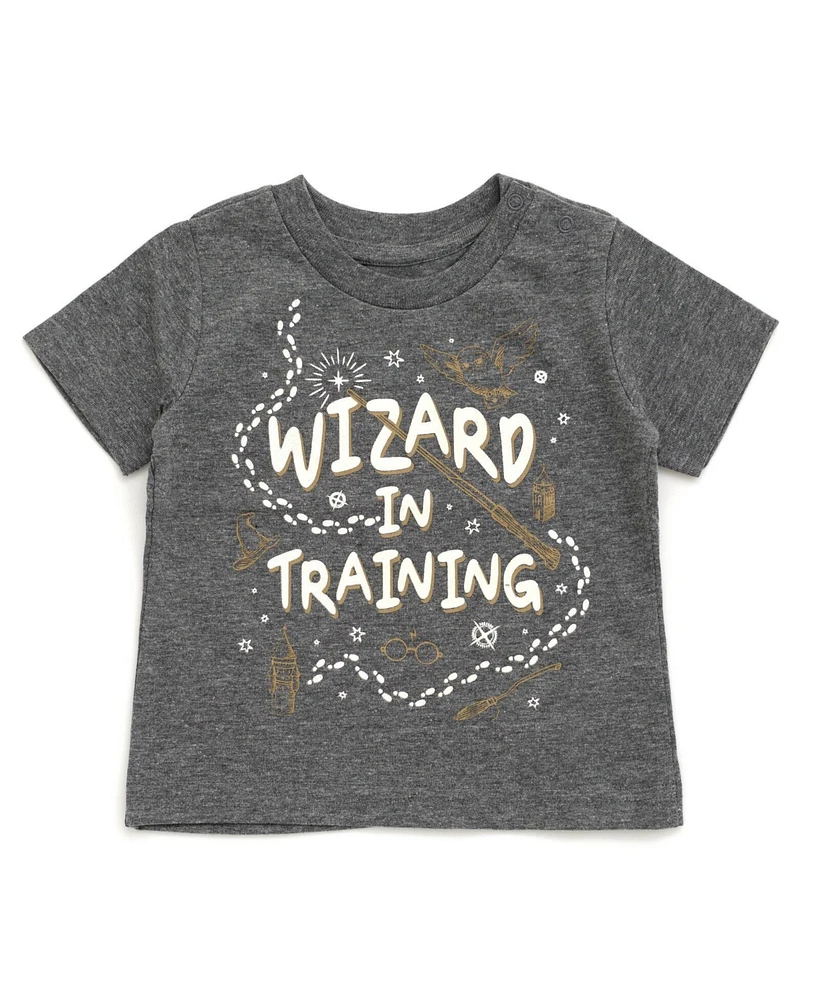 Harry Potter Baby Boys Matching Family T-Shirt Adult