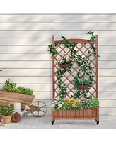 2-Pack Raised Garden Bed with Trellis & Climbing Racks