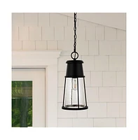 Laela 8.4" Outdoor Pendant