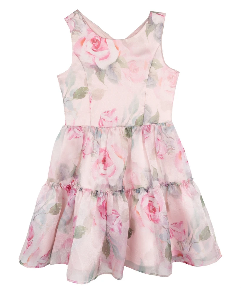 Rare Editions Big Girls Floral Organza Party Dress