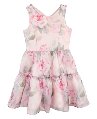 Rare Editions Big Girls Floral Organza Party Dress