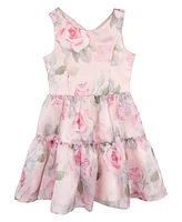 Rare Editions Big Girls Floral Organza Party Dress