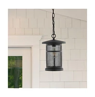 Osprey 8" Outdoor Pendant