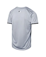 Nike Big Boys and Girls Gray Chicago White Sox Road Limited Jersey