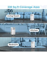 8000 Btu Portable Air Conditioner with Sleep Mode and Dehumidifier Function