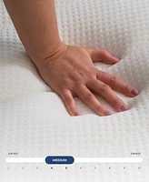 Brooklyn Bedding Select 14" Gel Memory Foam Hybrid Cushion Firm Tight Top Mattress