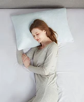Sleep Philosophy Rayon from Bamboo Shredded Memory Foam Pillow