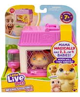 Little Live Pets Mama Surprise Mini Playset Hamster