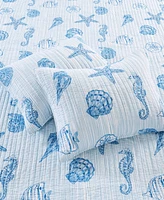 Levtex Sandy Cove Reversible 3-Pc. Quilt Set