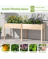 Fir Wood Outdoor Raised Garden Bed with Divider Panel and Drainage Holes