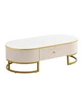 Modern Oval Coffee Table with Drawers,Curved Profile Design, Gold Metal Decor, Center Table for Living Room in 47.2"