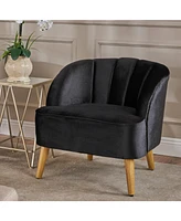 Christopher Knight Home Amaia Modern Velvet Club Chair